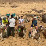 camellos en Egipto